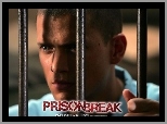 Skazany na śmierć, kraty, Prison Break, Wentworth Miller